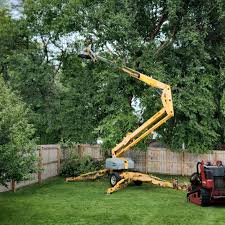 Best Hedge Trimming  in Port Morris, NJ
