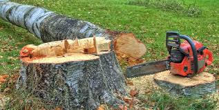 Best Firewood Processing and Delivery  in Port Morris, NJ
