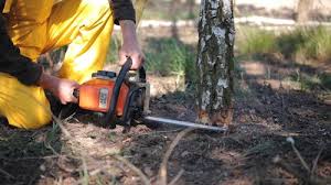 Seasonal Cleanup (Spring/Fall) in Port Morris, NJ