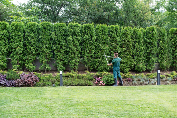 Best Seasonal Cleanup (Spring/Fall)  in Port Morris, NJ