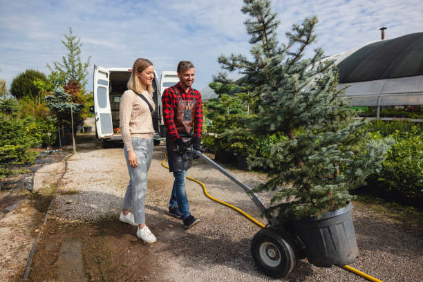 Best Tree Preservation Services  in Port Morris, NJ